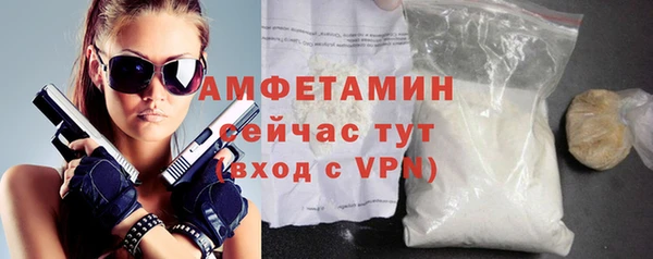 сатива Новодвинск