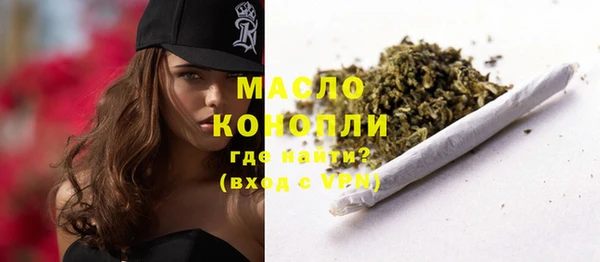 сатива Новодвинск