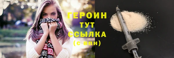 сатива Новодвинск
