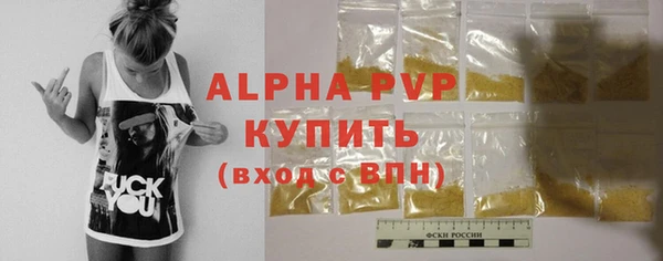 эйфоретик Няндома