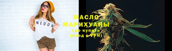 сатива Новодвинск