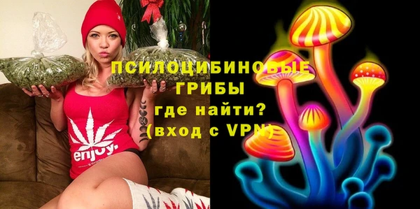 сатива Новодвинск