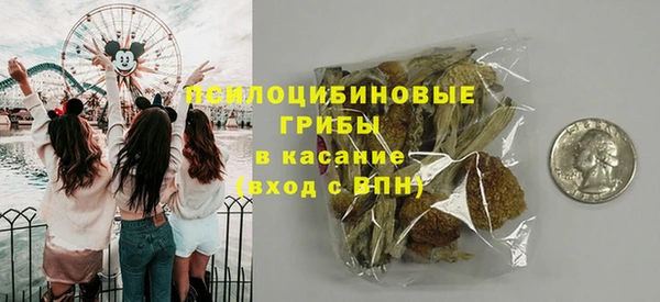 гидра Нязепетровск