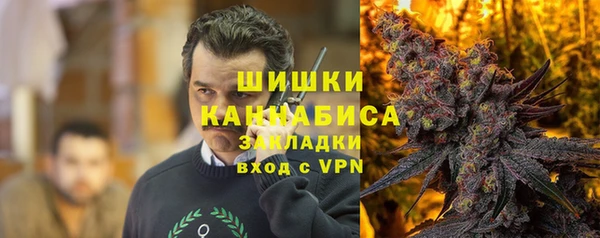 эйфоретик Няндома