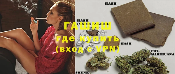 сатива Новодвинск